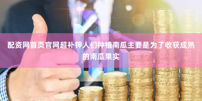 配资网首页官网超补钾人们种植南瓜主要是为了收获成熟的南瓜果实