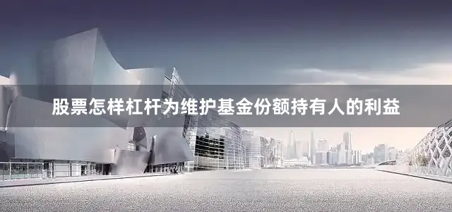 股票怎样杠杆为维护基金份额持有人的利益