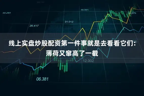 线上实盘炒股配资第一件事就是去看看它们：薄荷又窜高了一截