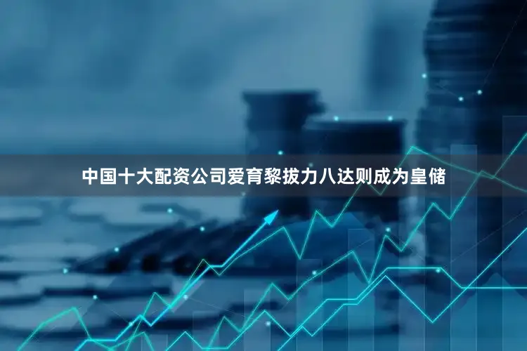 中国十大配资公司爱育黎拔力八达则成为皇储
